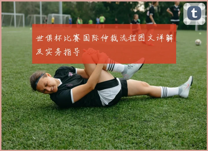 世俱杯比赛国际仲裁流程图文详解及实务指导